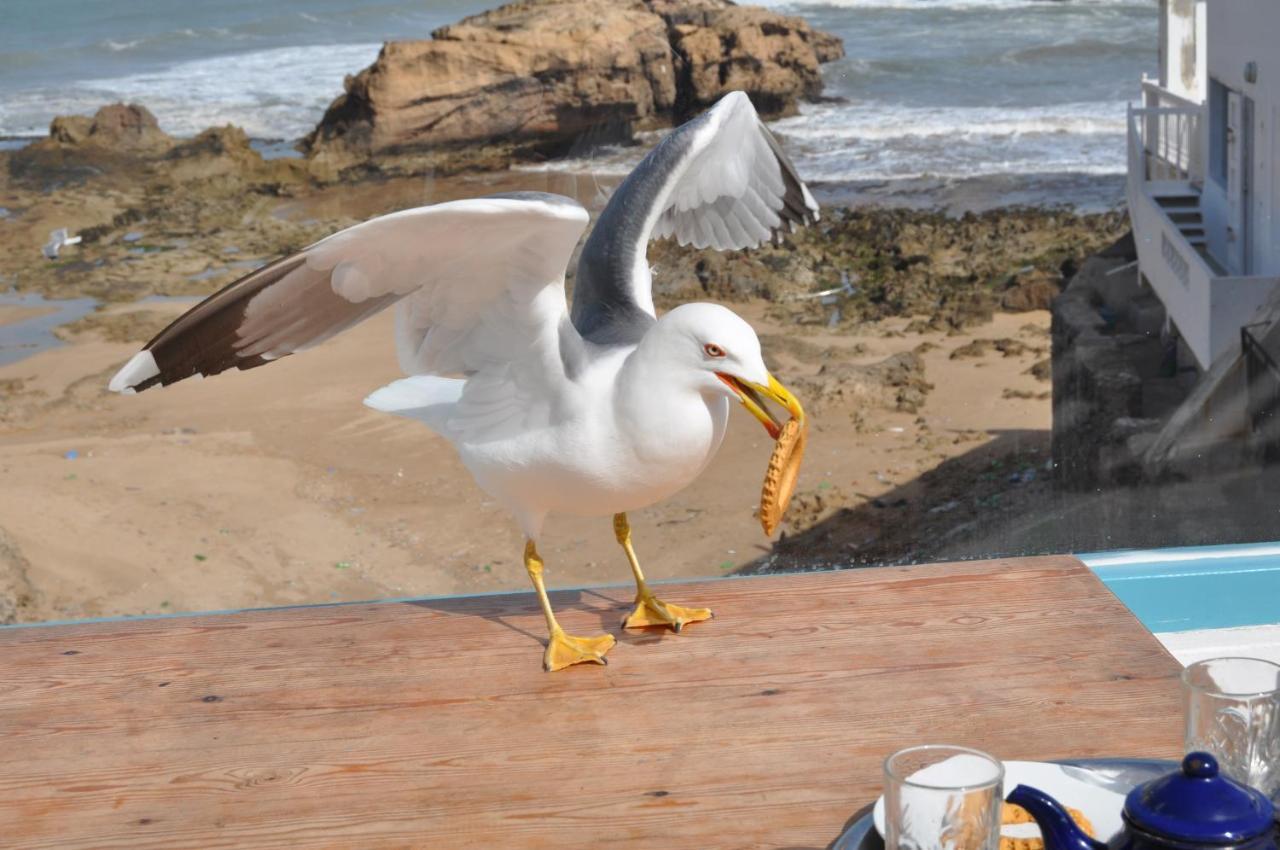 Riad Kafila Essaouira Bagian luar foto